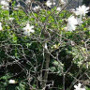 Meet your Posher, Mintwab